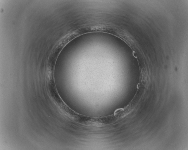X0000081400648200701252130