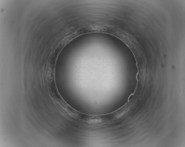 X0000081400653200701252131
