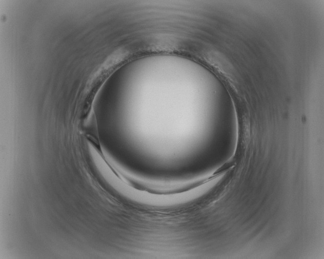 X0000081400681200701252130