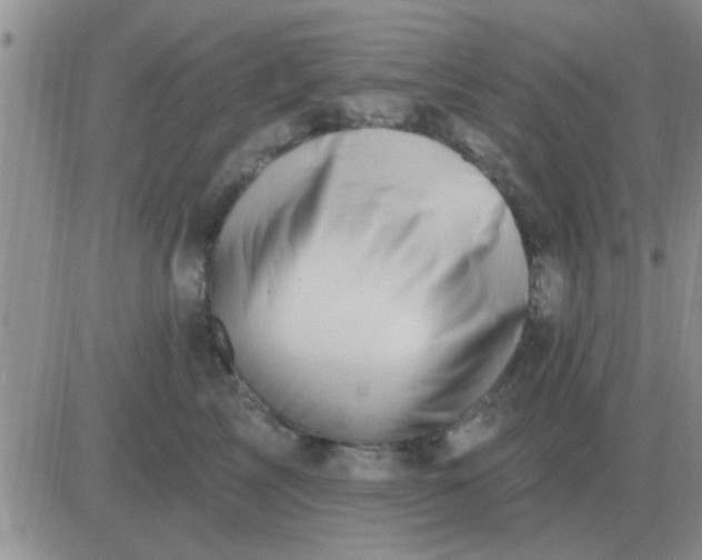 X0000081400713200701252129