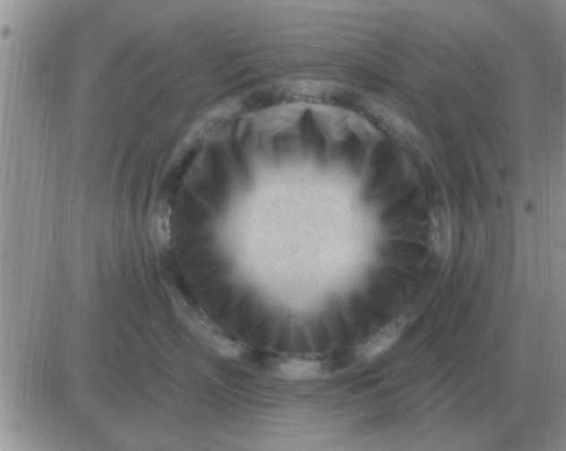 X0000081400718200701252129