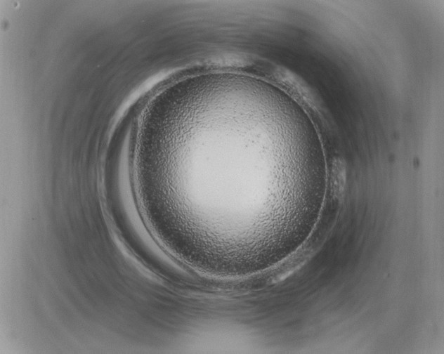 X0000081400726200701252129