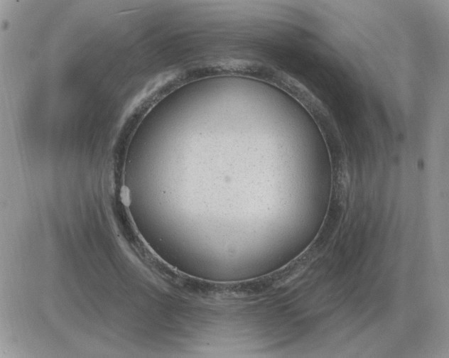 X0000081400734200701252129
