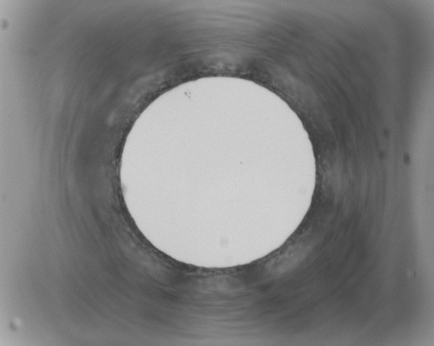 X0000081400769200701252128