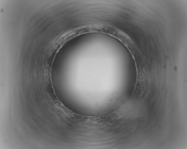 X0000081400773200701252128