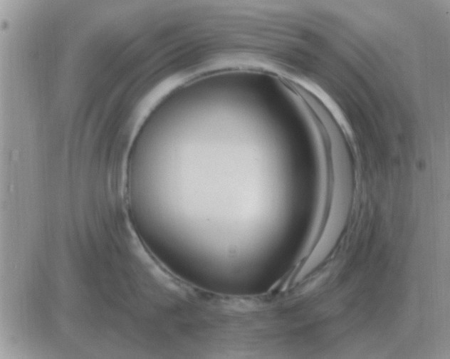 X0000081400815200701252128