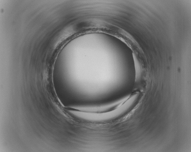 X0000081400826200701252127