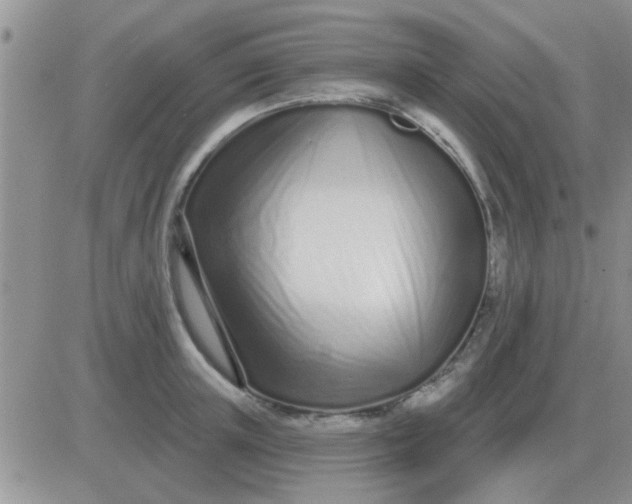 X0000081400851200701252127