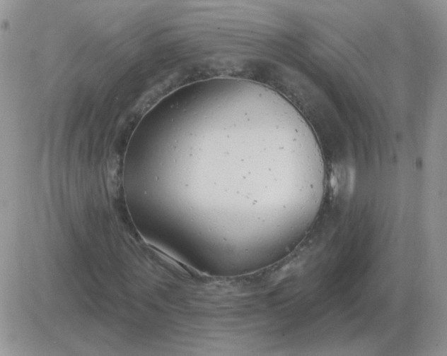 X0000081400867200701252127