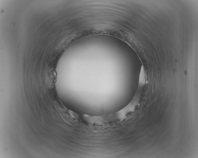 X0000081400868200701252127