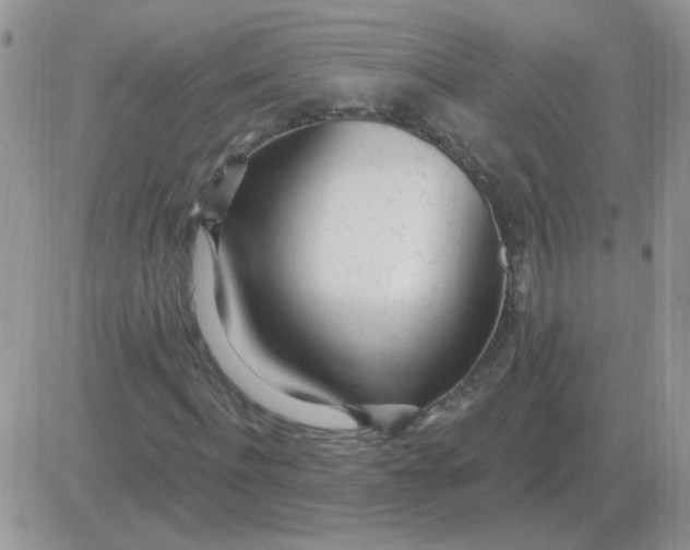 X0000081400916200701252125