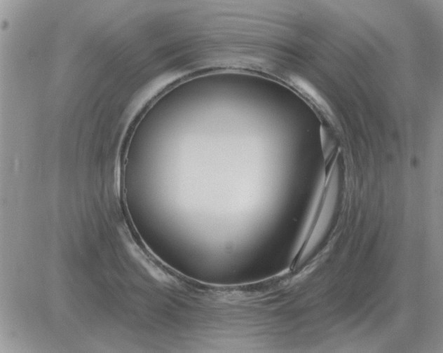 X0000081400940200701252126