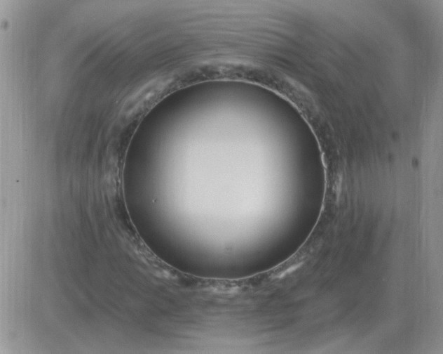 X0000081401014200701252124