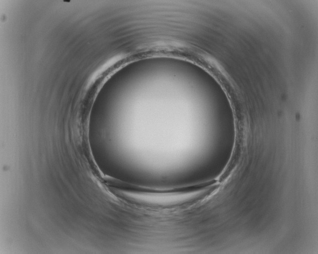X0000081401018200701252124
