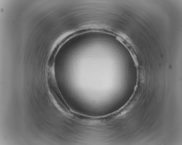 X0000081401030200701252124