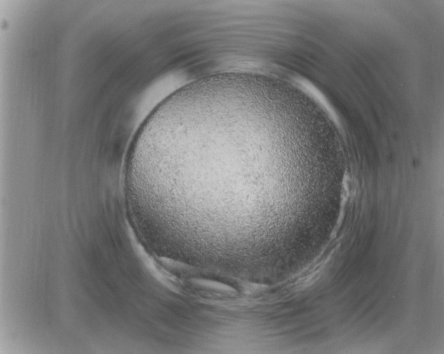 X0000081401050200701252124