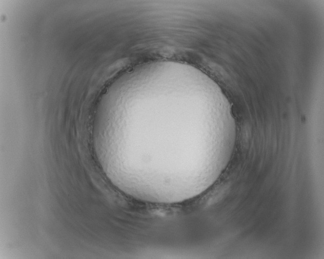 X0000081401105200701252122