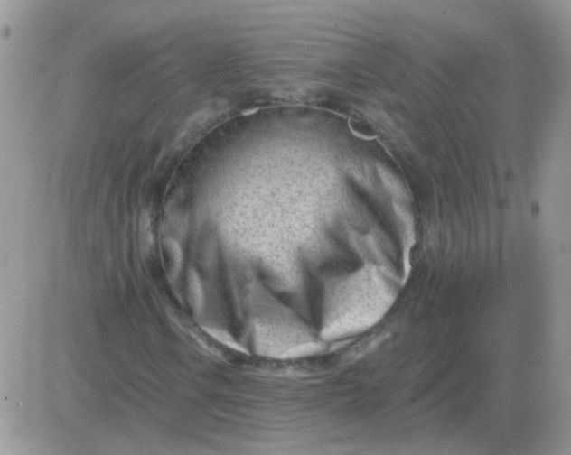 X0000081401106200701252122