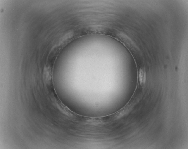 X0000081401107200701252122