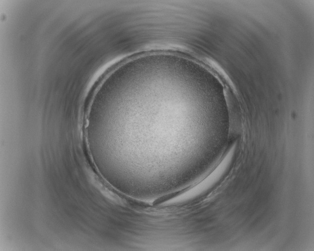 X0000081401124200701252123