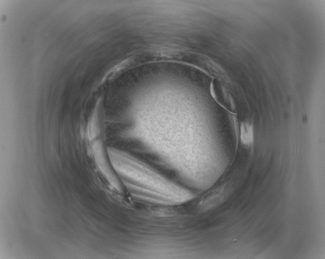 X0000081401155200701252122