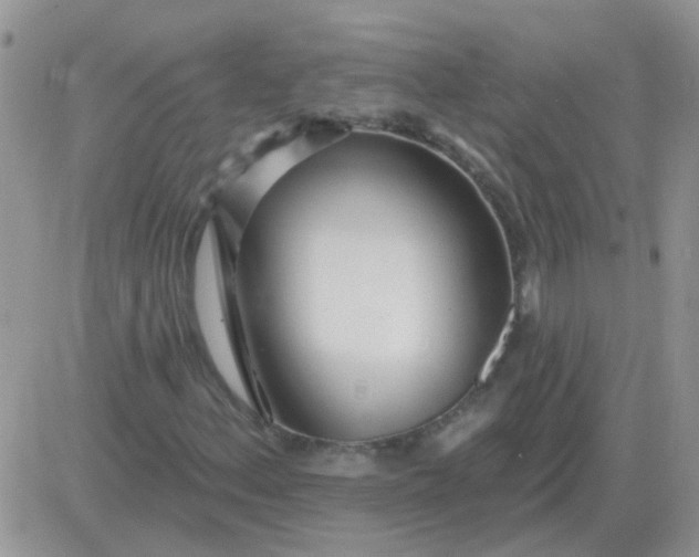 X0000081401156200701252122