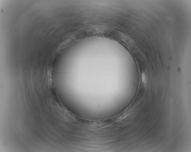 X0000081401203200701252121