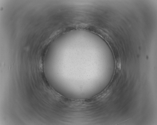 X0000081401252200701252121
