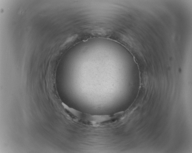X0000081401297200701252119