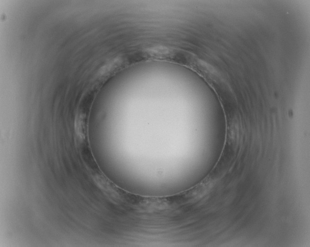 X0000081401346200701252119