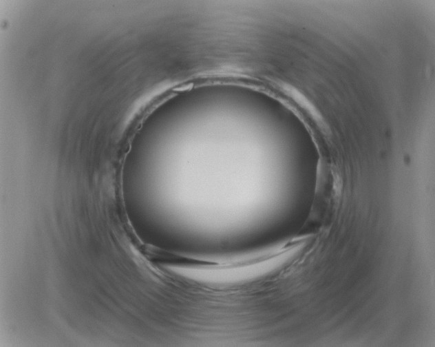 X0000081401356200701252119