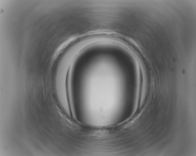 X0000081401406200701252118