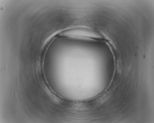 X0000081401452200701252117