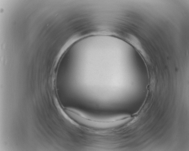 X0000081401484200701252117