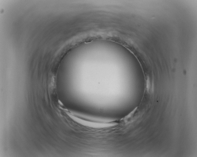 X0000081401492200701252116