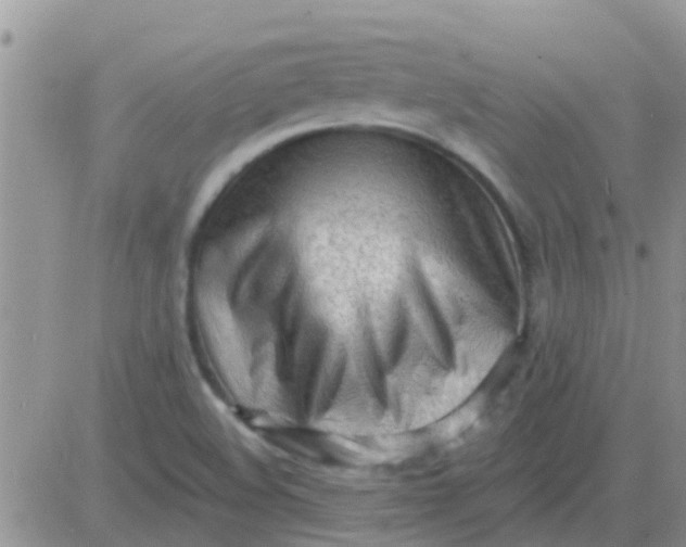 X0000081401508200701252116