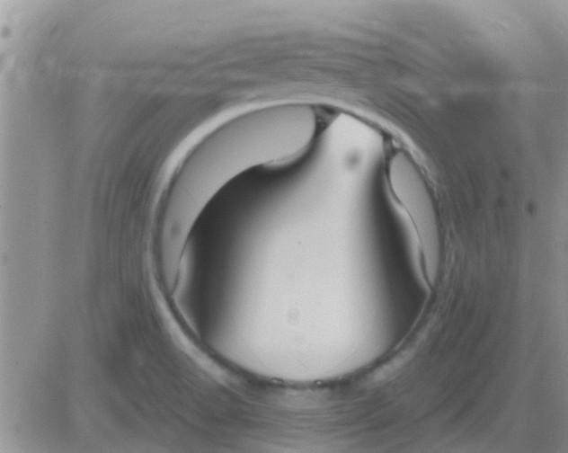 X0000081401518200701252116