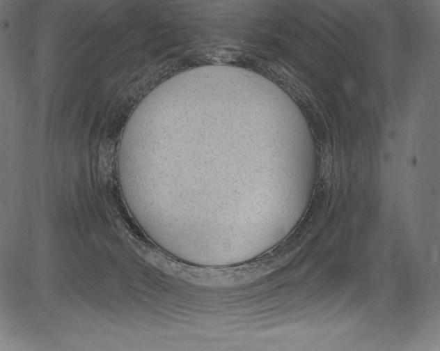 X0000081400030200702020332