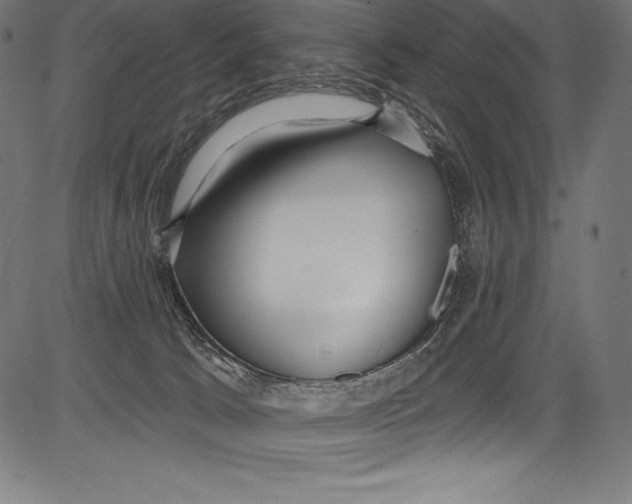 X0000081400033200702020331