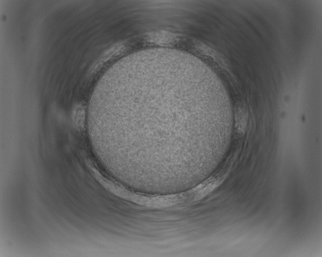 X0000081400036200702020331