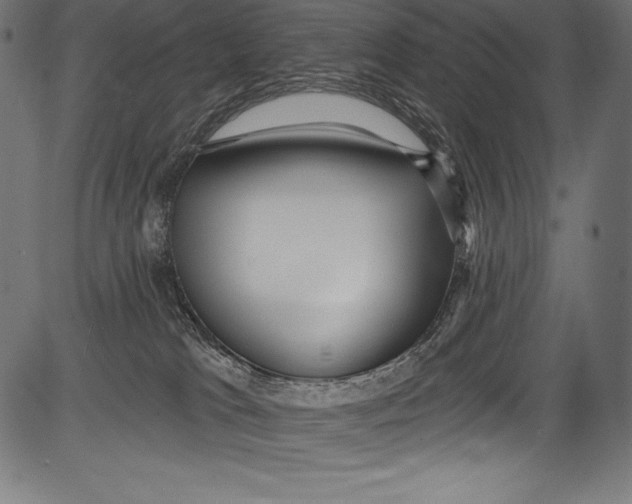 X0000081400037200702020331