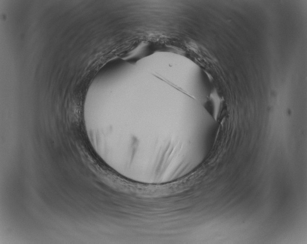 X0000081400039200702020331