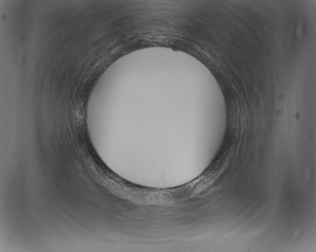 X0000081400040200702020331