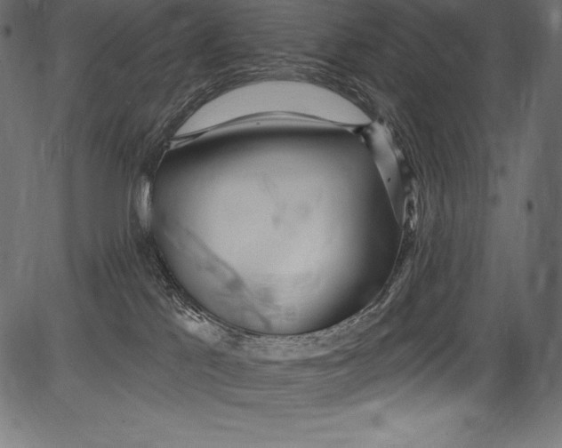 X0000081400041200702020331