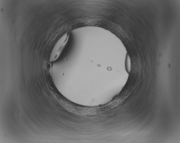 X0000081400044200702020331