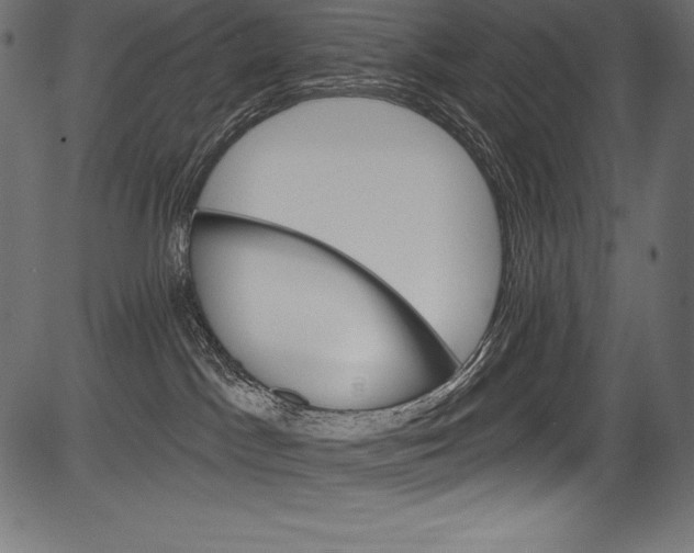 X0000081400045200702020331