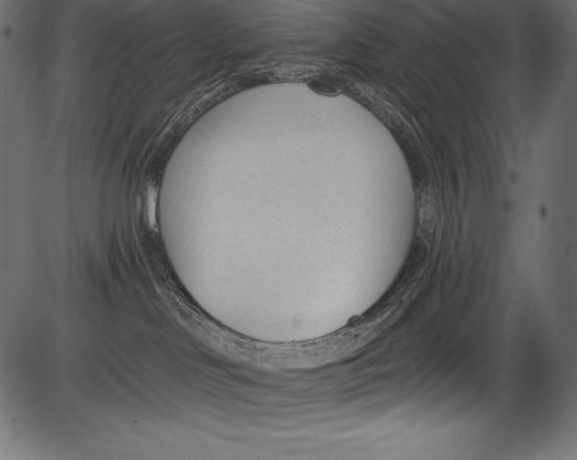 X0000081400046200702020331