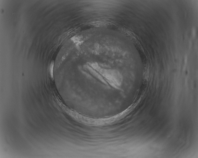 X0000081400047200702020331
