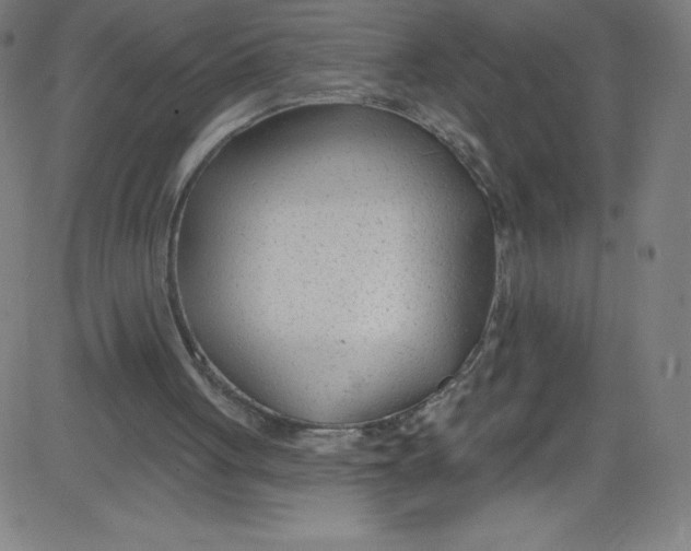 X0000081400051200702020330
