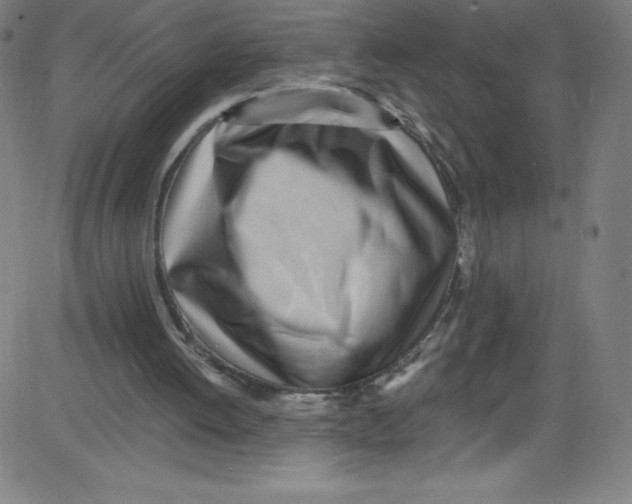 X0000081400052200702020330